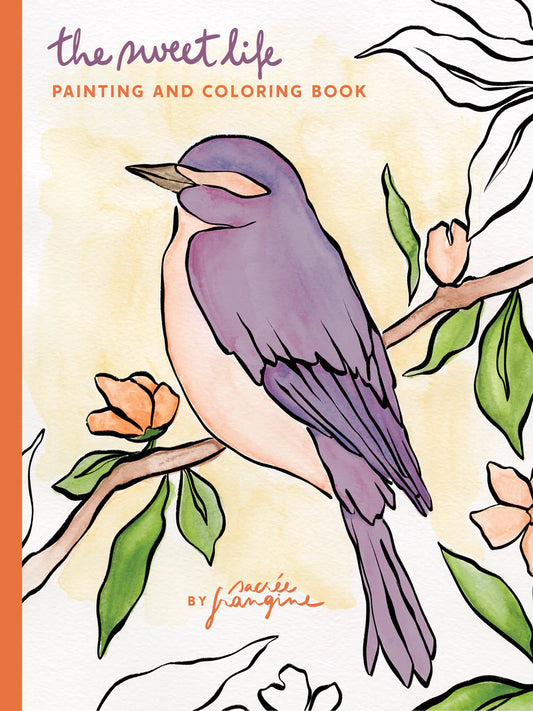 Sweet Life Painting & Colouring Book
