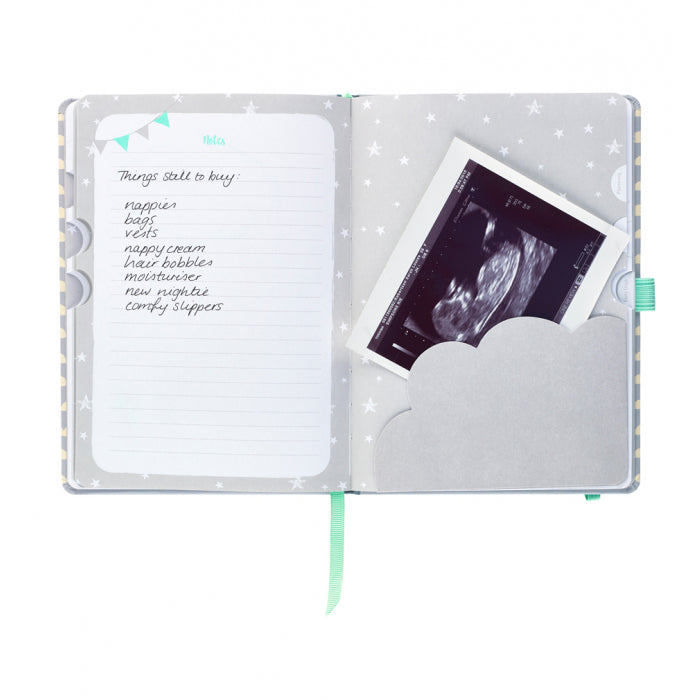 BusyB Pregnancy Journal