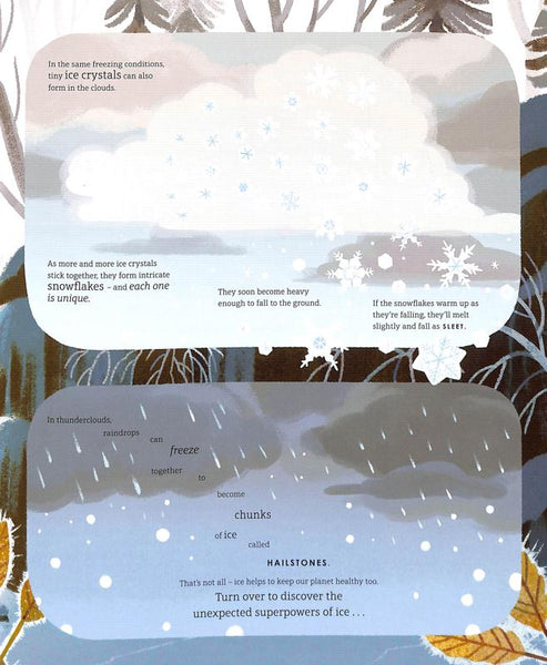 Frozen Planet II - BBC Earth by Leisa Stewart-Sharpe (author), Kim Smith (illustrator)