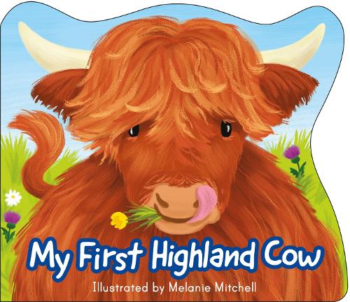 My First Highland Cow Board Book