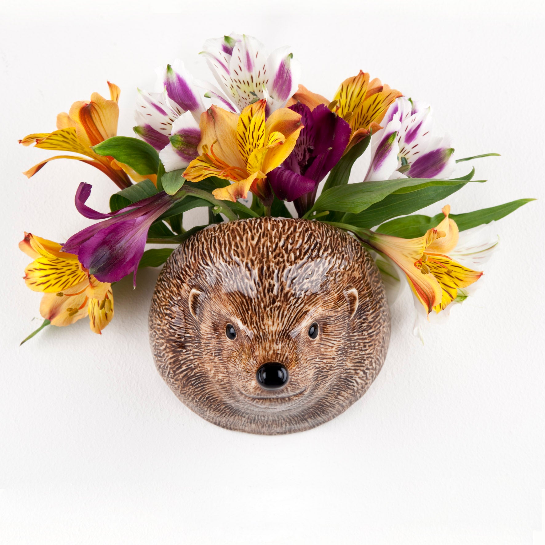 Quirky wall vase depicting hedgehog face.