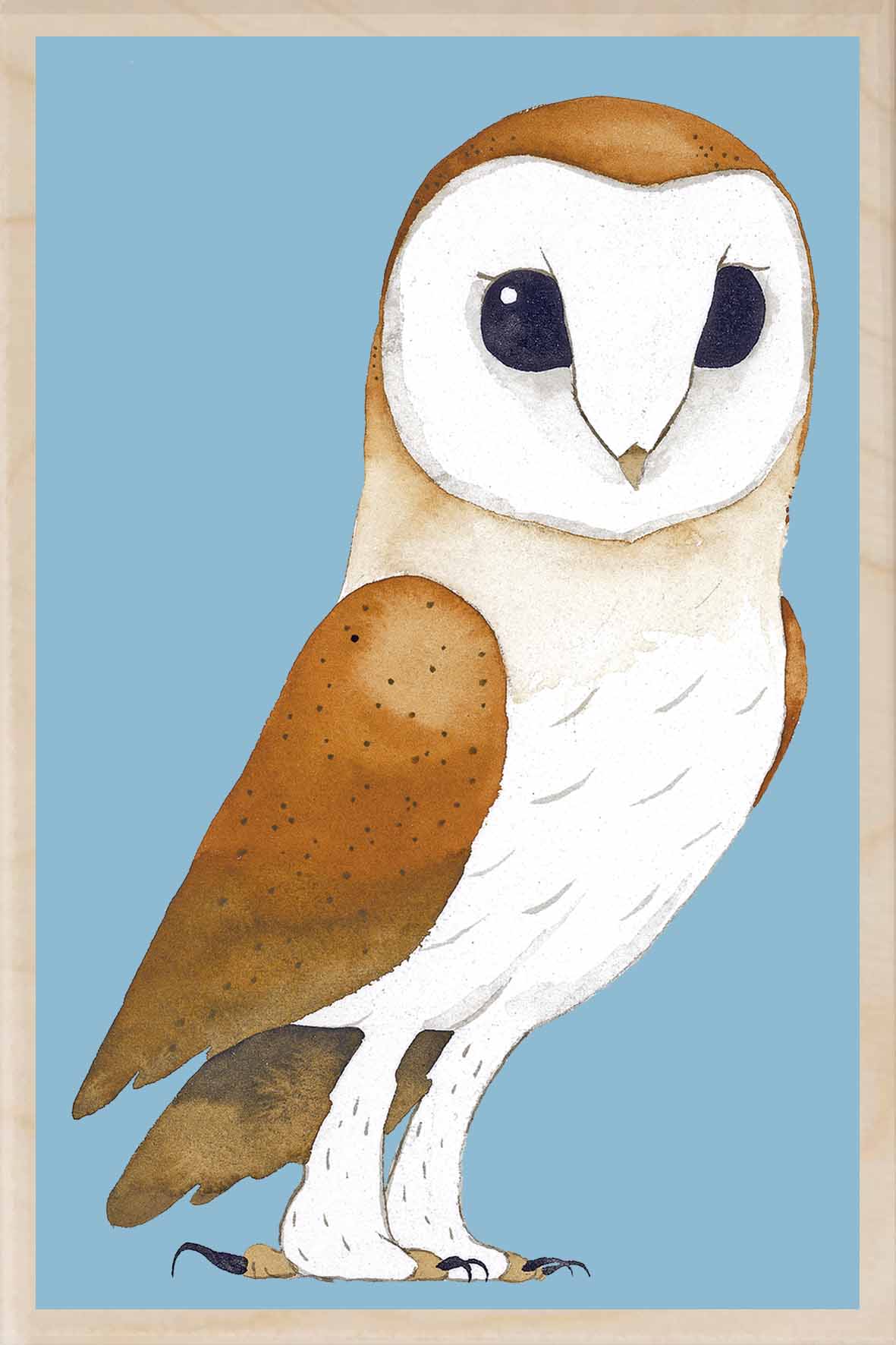 Wooden PC Matt Sewell Barn Owl